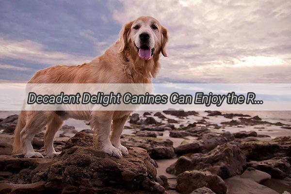 Decadent Delight Canines Can Enjoy the Richness of Pork Ribs and Winter Melon Stew